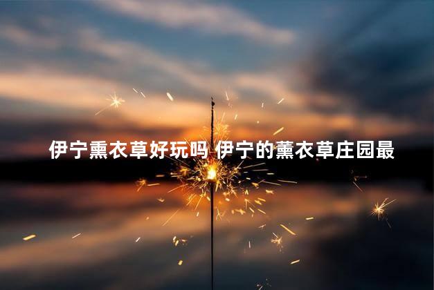 伊宁熏衣草好玩吗 伊宁的薰衣草庄园最好的在哪